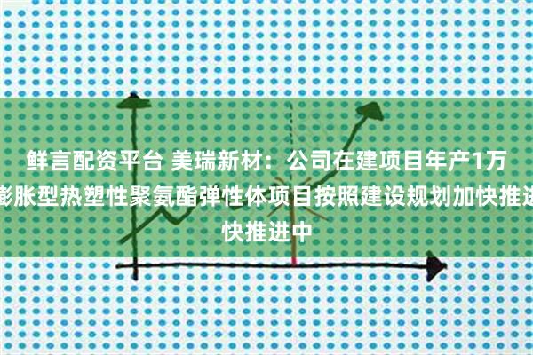 鲜言配资平台 美瑞新材：公司在建项目年产1万吨膨胀型热塑性聚氨酯弹性体项目按照建设规划加快推进中